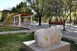 對外經(jīng)濟貿(mào)易大學(xué)書籍飄墨香